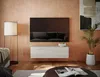 PLATAN ROOM Fernsehschrank TV-Lowboard 105 cm breit Produktbild-Vorschau 6