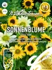 Sonnenblume Little Star | Sonnenblumensamen von N.L. Produktbild-Vorschau 1