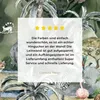 MuchoWow® - Leinwandbilder - Kinder - Dschungel - Natur - Produktbild-Vorschau 8