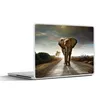 MuchoWow® Laptop Aufkleber Sticker Cover Elefant - Straße - Produktbild-Vorschau 1