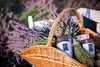 Hills Of Provence Vellutier 515 G Podgląd zdjęcia produktu 5