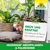 Neudorff NeudoHum Grünpflanzen- & PalmenErde 40 Liter Produktbild-Vorschau 8