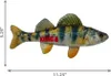 A plush fish toy with the KONG logo on its side, shown against a white background with size indicators. Produktbild-Vorschau