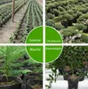 MIKONI Anzuchttöpfe | Ø 9 cm | 200 Stück | Folientöpfe Produktbild-Vorschau 2