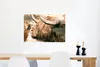 MuchoWow® Poster Schottischer Highlander - Schmetterling - Produktbild-Vorschau 5