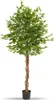 tectake® Künstlicher Ficusbaum Fida verschiedene Größen Produktbild-Vorschau 1