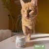REAVET Magenmild Pulver für Katzen – Magenpulver bei Produktbild-Vorschau 11
