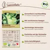 Samenliebe  Kohlrabi Samen | Superschmelz - riesig - Produktbild-Vorschau 3