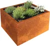 Palatino Pflanzkübel Gartenartikel Clara Cortenstahl Produktbild-Vorschau 13