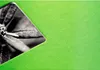 Hama Fine Art Spirale kiwi 24x17 50 pagine bianche 2114 Anteprima dell’immagine prodotto 18