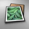 Gerahmtes Poster - Schwarzer Rahmen - Blätter Eukalyptus Produktbild-Vorschau 3