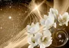 Vlies Fototapete - Golden Milky Way 350x245 cm Blumen Produktbild-Vorschau 6