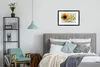 MuchoWow® MuchoWow® Gerahmtes Poster Sonnenblumenkerne mit Produktbild-Vorschau 5