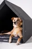 Rexproduct - PetHome 2.0 Hundehütte mit Liegefläche und Produktbild-Vorschau 2
