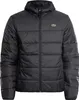 Lacoste Gesteppte Pufferjacke, Schwarz M Produktbild-Vorschau 6