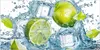 Küchenrückwand Spritzschutz Glas mit Motiv Limetten Produktbild-Vorschau 3