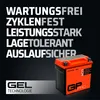 Gel-Batterie GP-PRO GTX14-BS 12 V 14 Ah 200 A Produktbild-Vorschau 8