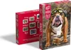Puzzle 1000 pezzi Bon Voyage! 30387 Cherry Pazzi Anteprima dell’immagine prodotto 6