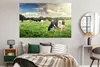 MuchoWow® Poster Kühe - Weide - Natur - Tiere - Landschaft Produktbild-Vorschau 4
