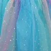 Paw Patrol Skye Regenbogen Mädchen Kinder Tüllkleid Kleid – Produktbild-Vorschau 5