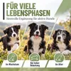 REAVET Grünlippmuschel Kapseln 300 Stück Hund hochdosiert - Produktbild-Vorschau 6