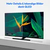 A split screen showing a comparison of a TV display, with one side labeled 'Standard' and the other 'QLED'. Produktbild-Vorschau