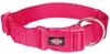 TRIXIE Premium Halsband, XS–S: 22–35 cm / 10 mm, fuchsia Produktbild-Vorschau 3
