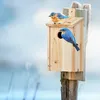 Relaxdays Nistkasten, Nisthöhle für Vögel, zum Hängen, Produktbild-Vorschau 2