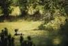Fiskars Pulsierender Sprinkler XL, On/Off-Ventil, Mit Produktbild-Vorschau 5