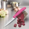 A pink Victorinox paring knife is shown on a stainless steel countertop, next to a cut beet and some diced beet pieces. In the background, there are onions and cauliflower, and pots and pans. Produktbild-Vorschau