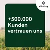 Vitabay Mumijo Shilajit Kapseln – 120 vegane Softgels – Produktbild-Vorschau 8