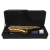 A saxophone in its open case. Podgląd zdjęcia produktu