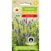 Šanta kočičí 0,4g Toraf Náhled obrázku produktu 2