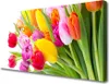 Tulup Leinwand-Bilder 100x50 Wandbild Canvas Kunstdruck Produktbild-Vorschau 1