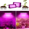 LED diody rostou světlo plné spektrum zeleniny a květin Náhled obrázku produktu 3