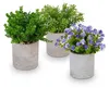 Set da 3 piante artificiali Relaxdays, diverse piante Anteprima dell’immagine prodotto 8