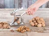 Casse-noix décoratif "Élan" en métal chromé Voir les images du produit 2