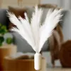LAYBA Künstliches Pampasgras 3er-Set Weiß 100 cm, 18 Produktbild-Vorschau 4