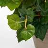 Mica Decorations Fleur artificielle Begonia - 36x36x37 cm - Voir les images du produit 4