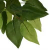 vidaXL Umelý strom Ficus 1008 listov 180 cm zelený Náhľad obrázku produktu 2