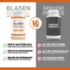 Saint Nutrition® Blasen Control Kapseln - Stärkung der Produktbild-Vorschau 6