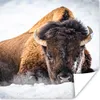 MuchoWow® Poster Amerikanische Bisons im Winter 100x100 cm Produktbild-Vorschau 1