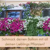 2er Set Blumenkasten Balkongeländer Balkon Blumenkasten Produktbild-Vorschau 2