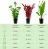 Pflanzen Set mit 3 Hintergrund Topf Aquarium Wasserpflanzen Produktbild-Vorschau 2