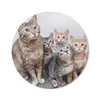 MuchoWow® Mauspad Mousepad Katze - Kätzchen - Fell 30x30 cm Produktbild-Vorschau 1