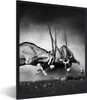 MuchoWow® Gerahmtes Poster Antilope - Schwarz und weiß - Produktbild-Vorschau 1