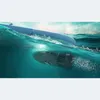 Spinera Underwater Powerfin & Podvodný skúter Potápačský Náhľad obrázku produktu 14