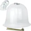 A clear plastic plant protector dome and stakes on a white background. Produktbild-Vorschau