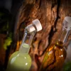 Two glass bottles with cork stoppers, one containing a light green liquid and the other an amber liquid, are set against a rustic wooden background with some greenery. Produktbild-Vorschau