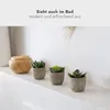 addhome Set di 6 piante artificiali succulente in vasi Anteprima dell’immagine prodotto 5